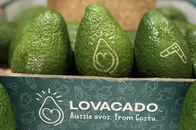 Lasermärkt avokado