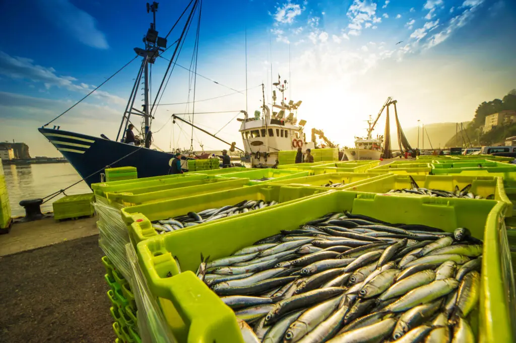 EU Fisheries Control System EU-förordningen om fiskerikontroll (EU:s fiskerikontrollförordning)