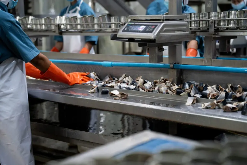 EU Fisheries Control System EU-förordningen om fiskerikontroll (EU:s fiskerikontrollförordning)